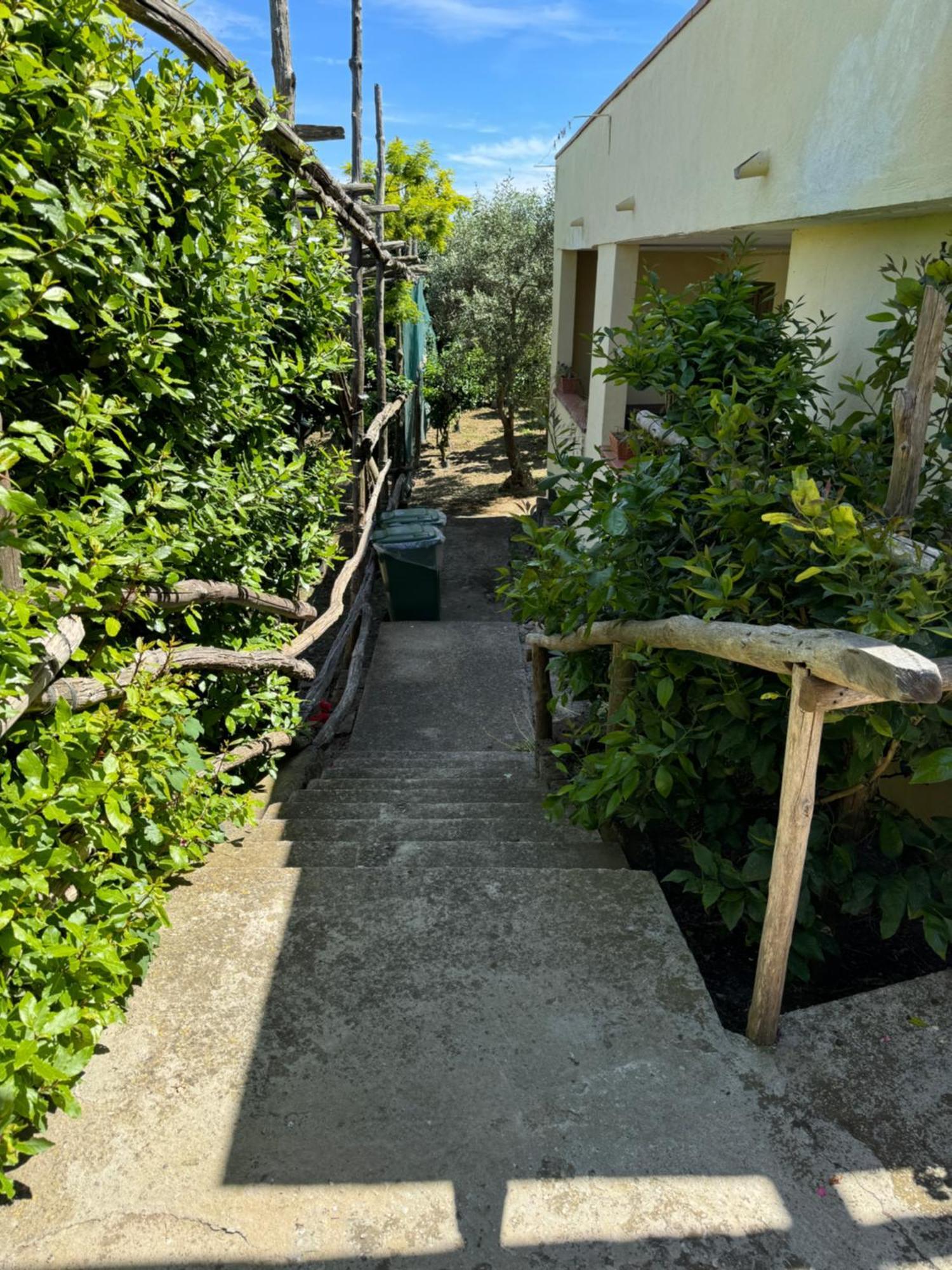Agriturismo Piccolo Paradiso Piano di Sorrento Exteriér fotografie
