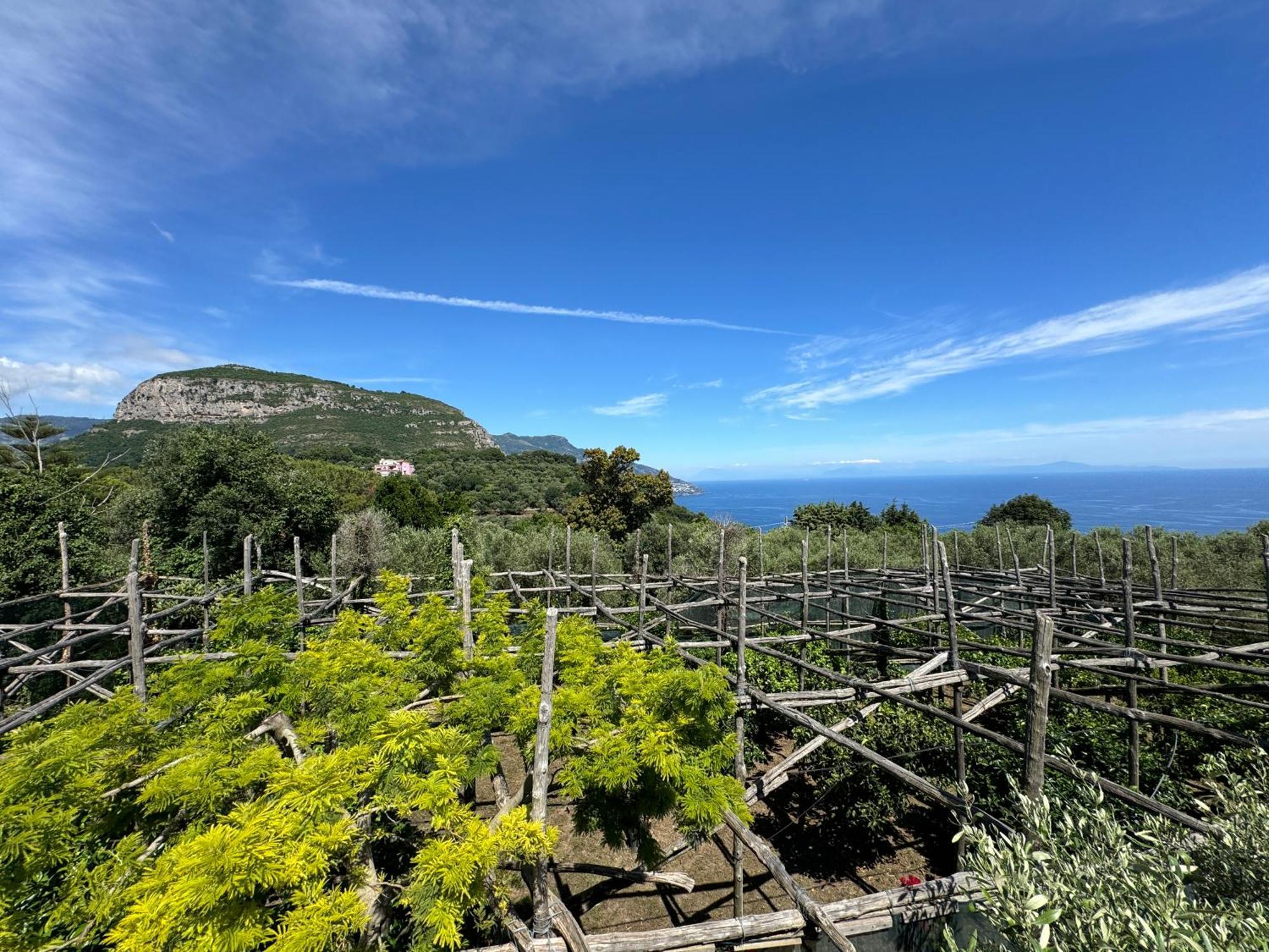 Agriturismo Piccolo Paradiso Piano di Sorrento Exteriér fotografie