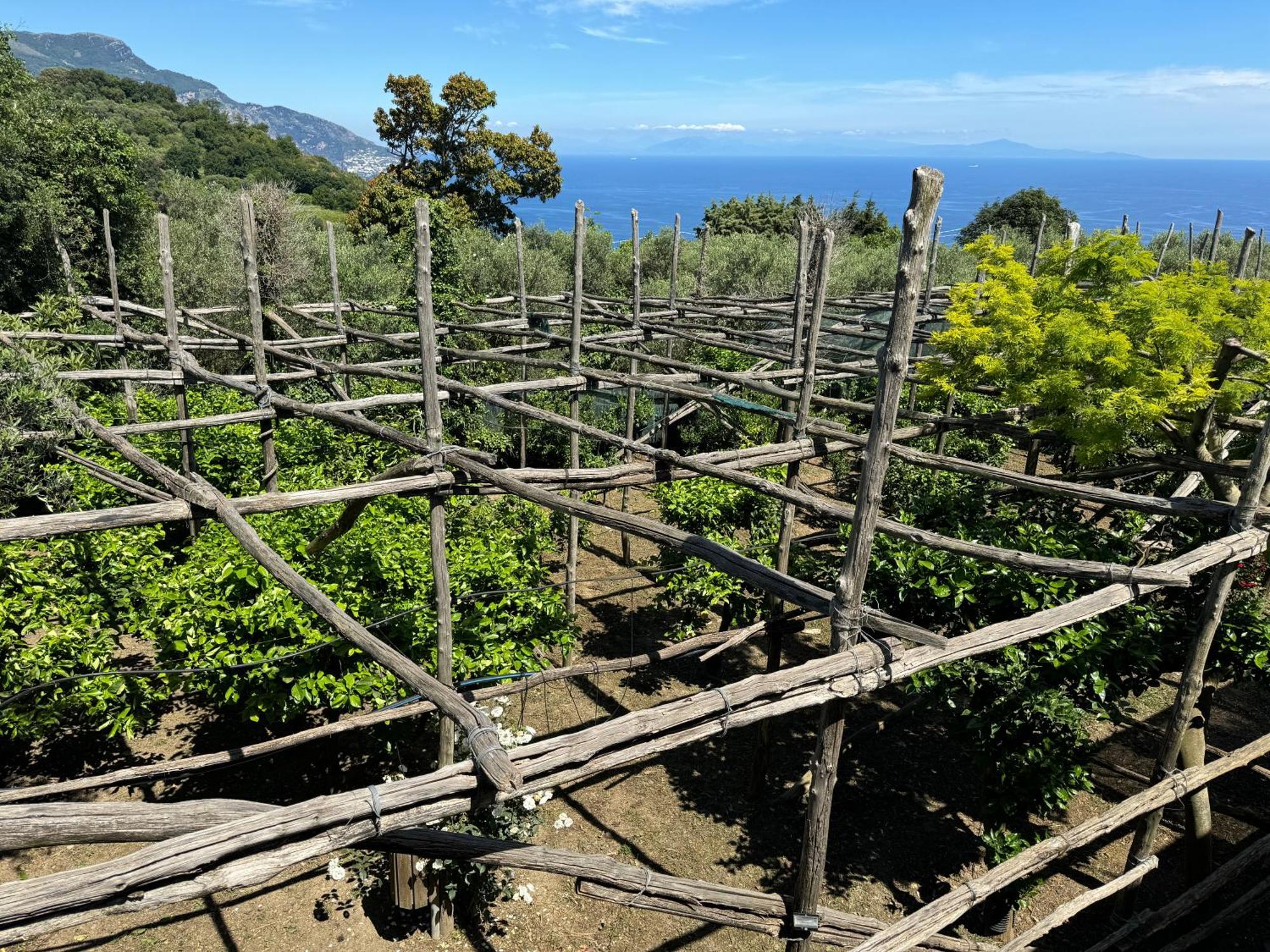 Agriturismo Piccolo Paradiso Piano di Sorrento Exteriér fotografie