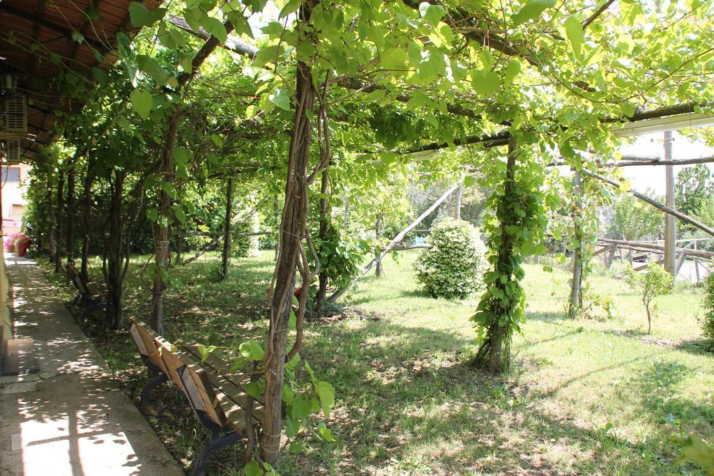 Agriturismo Piccolo Paradiso Piano di Sorrento Exteriér fotografie