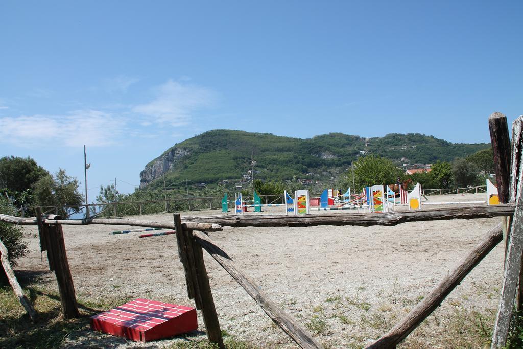 Agriturismo Piccolo Paradiso Piano di Sorrento Exteriér fotografie
