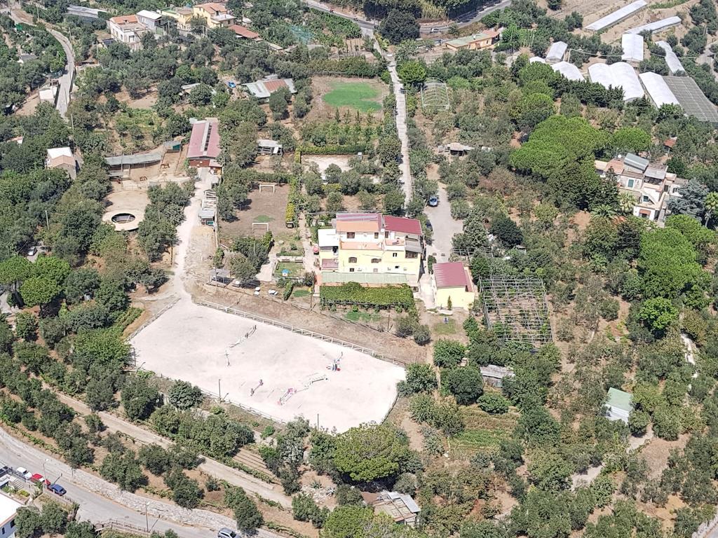 Agriturismo Piccolo Paradiso Piano di Sorrento Exteriér fotografie