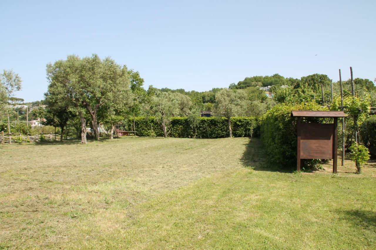 Agriturismo Piccolo Paradiso Piano di Sorrento Exteriér fotografie